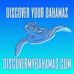 Great communication…Great driver…Awesome communication… Booking again in April