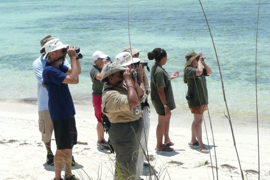 URBAN BIRDING EXPERIENCE – FREEPORT