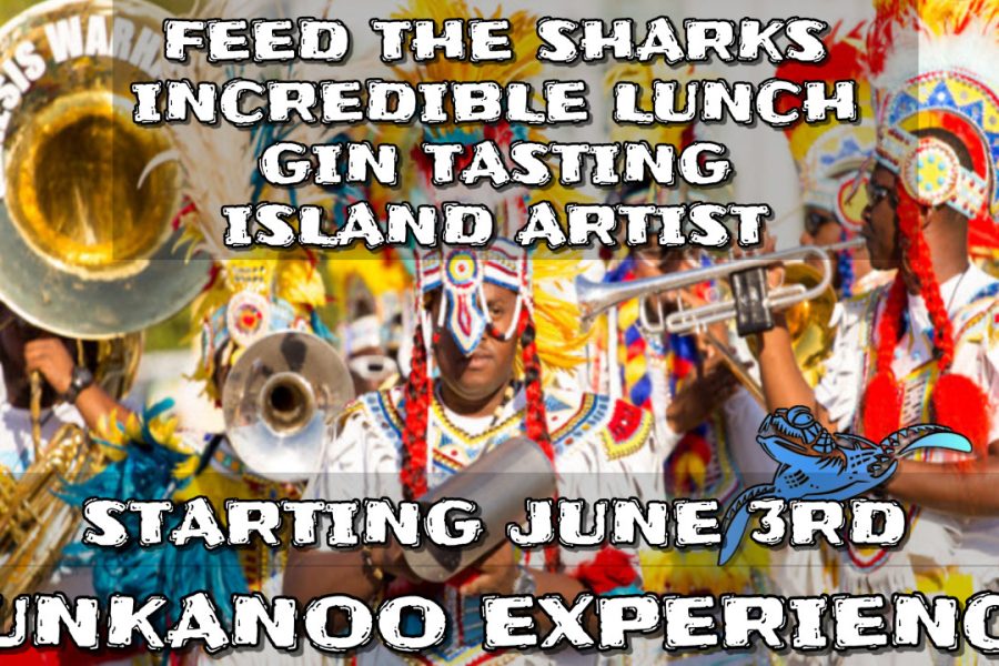 RUM TASTING, SHARK FEED, LUNCH & JUNKANOO BAND @ PIER ONE (WALK FROM MARGARITAVILLE @ SEA)