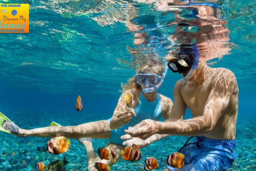 WESTERN HERITAGE, SNORKEL TOUR AND LUNCH – WEST END