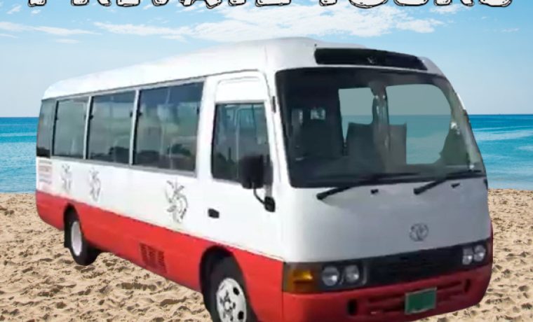 PRIVATE GROUP TOURS WITH SPIDER