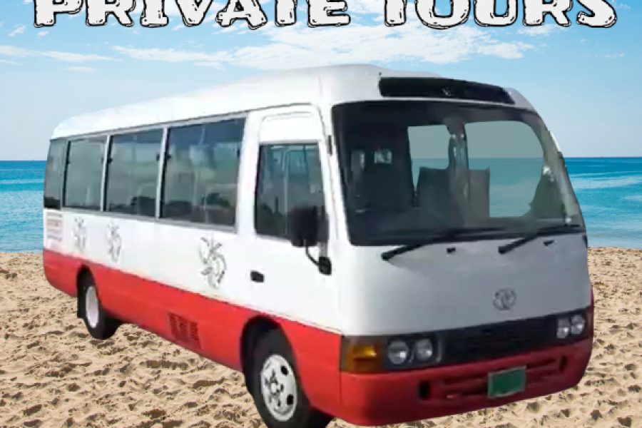 PRIVATE GROUP TOURS WITH SPIDER