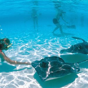 SWIM-STINGRAY-2-NEW-PROMO-SLIDE-scaled