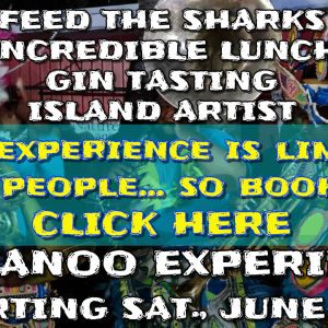 JUNE 17 ANNOUNCEMENT WEBSITE JUNKANOO