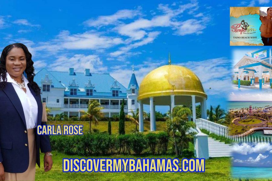 LEARN, PLAY AND SHOP with CARLA ROSE