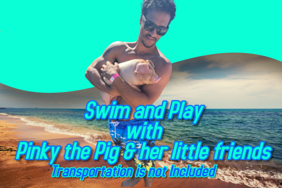Swim & Play with Pinky and her little friends… Yes, they are pigs… Mather Town Beach (find your own ride)